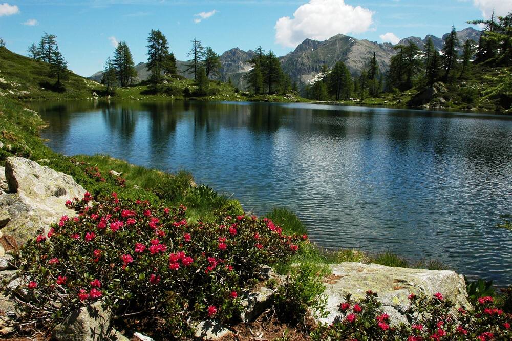 Photo of Outdoor in Demonte