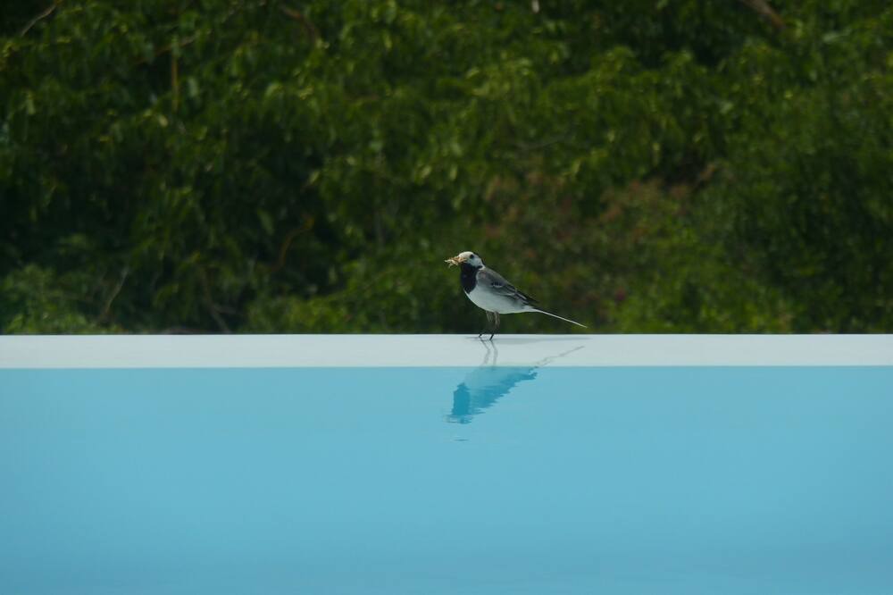 Photo of Outdoor in Cartosio