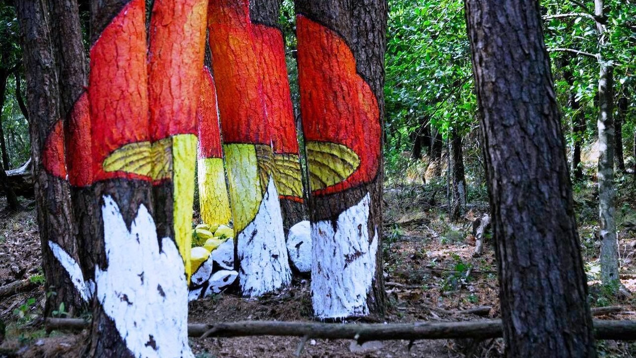Photo of Outdoor in L'Espluga de Francoli