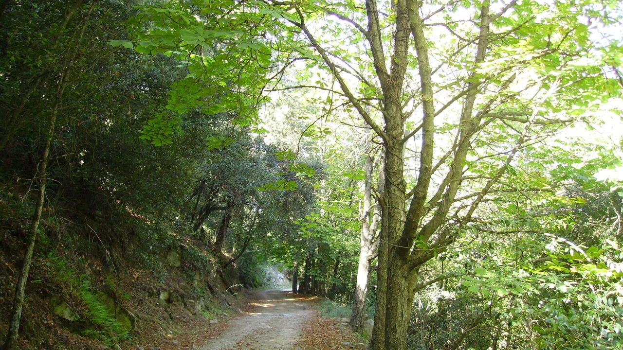 Photo of Outdoor in L'Espluga de Francoli
