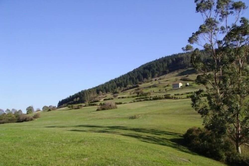 Photo of Others in Acereda