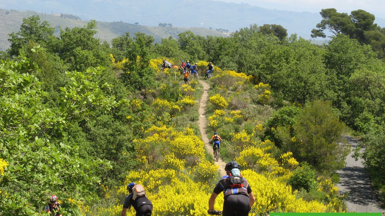 Photo of Others in Montegrosso Pian Latte