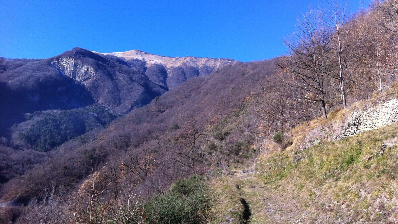 Photo of Outdoor in Montegrosso Pian Latte