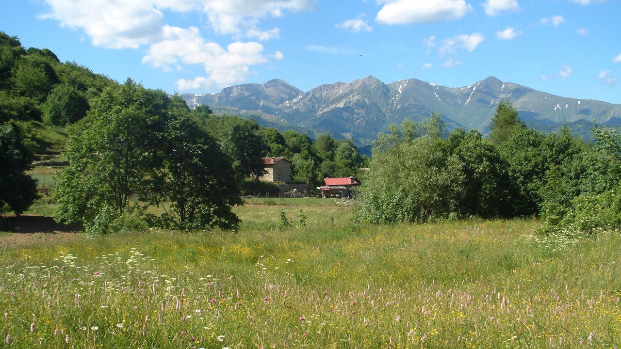 Photo of Outdoor in Montegrosso Pian Latte