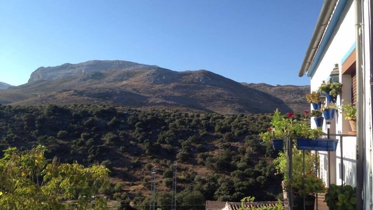 Photo of Outdoor in Parauta