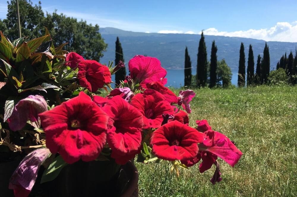 Photo of Outdoor in Navazzo