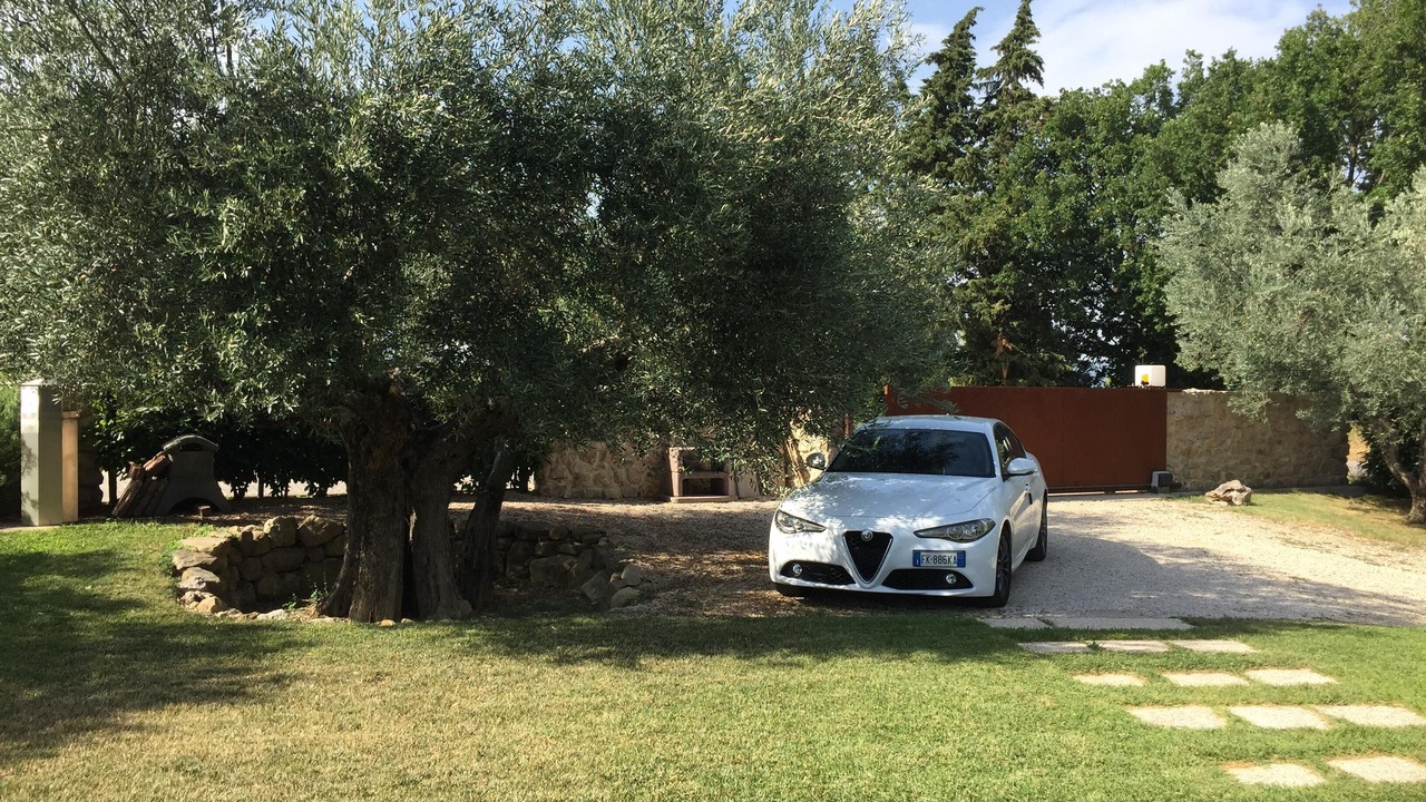 Photo of Outdoor in Montelaguardia