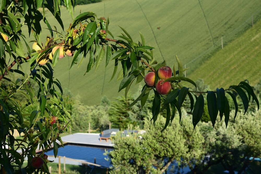Photo of Outdoor in Lapedona