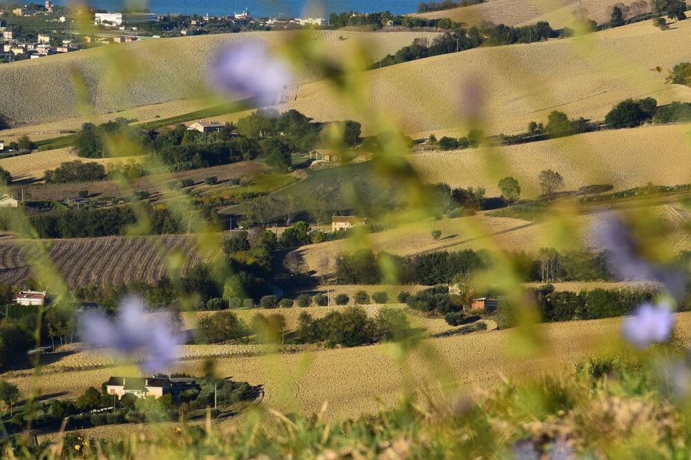 Photo of Outdoor in Lapedona