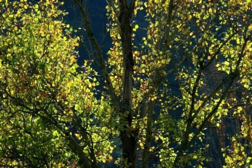 Photo of Outdoor in Horta de Sant Joan