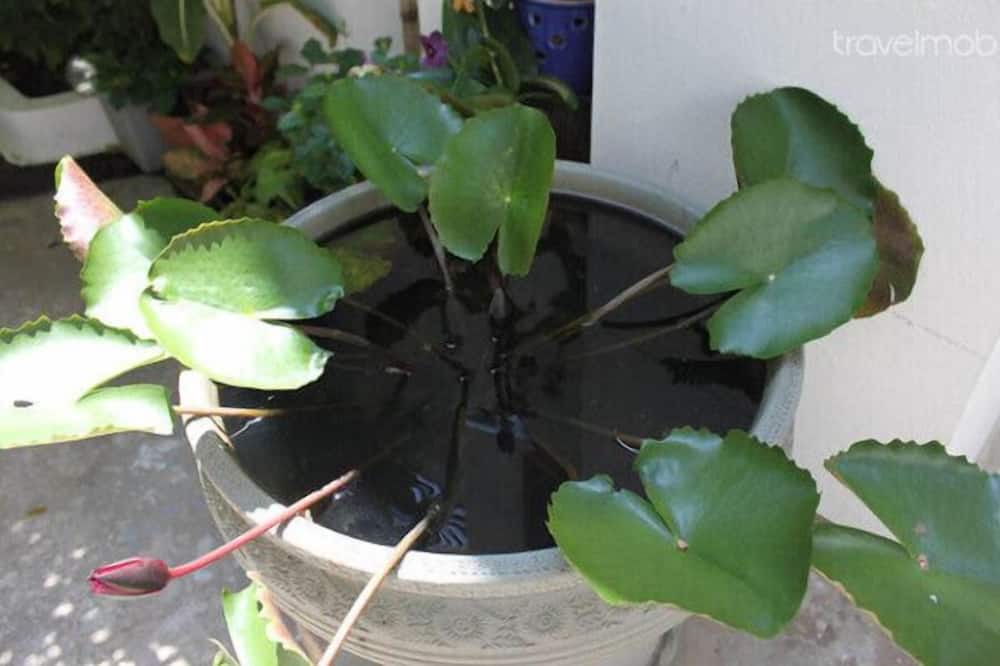 Photo of Outdoor in Yan Nawa