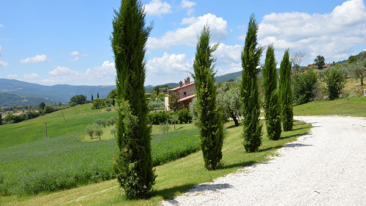 Photo of Outdoor in Todi