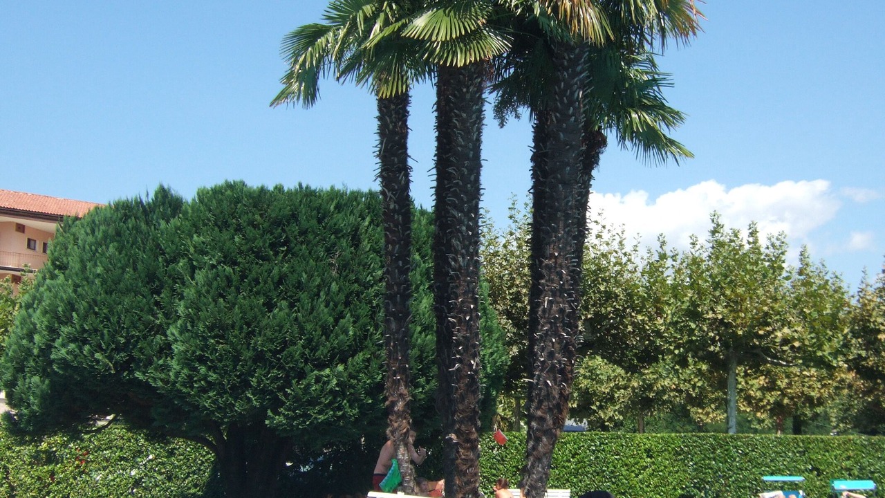 Photo of Outdoor in Villaggio Belmonte