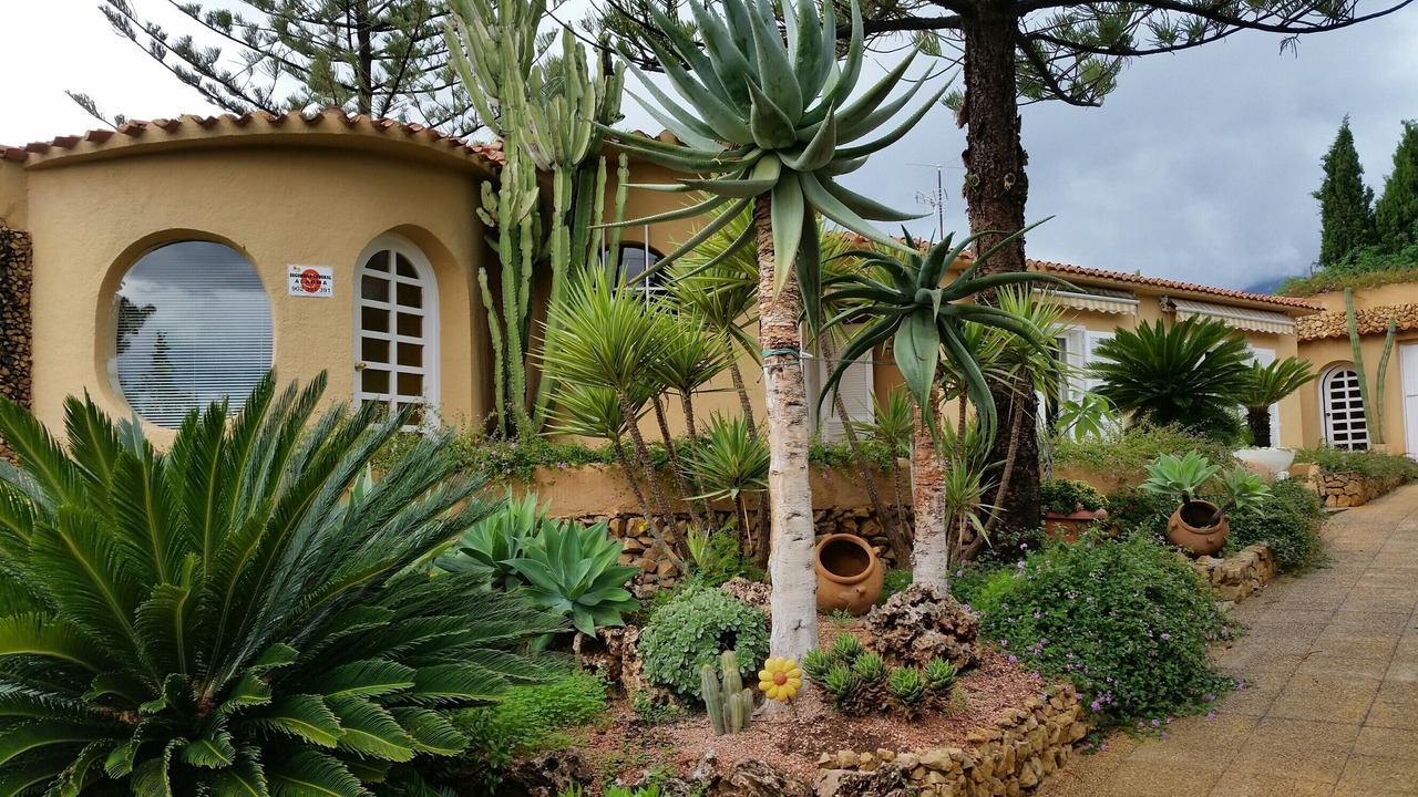 Photo of Outdoor in La Colina