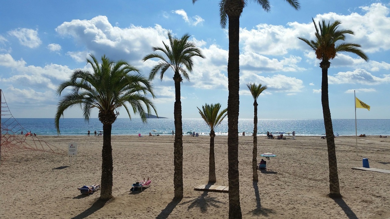 Photo of Others in La Colina