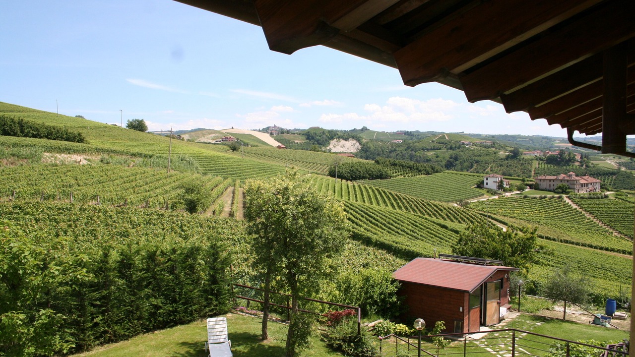 Photo of Outdoor in Diano d'Alba