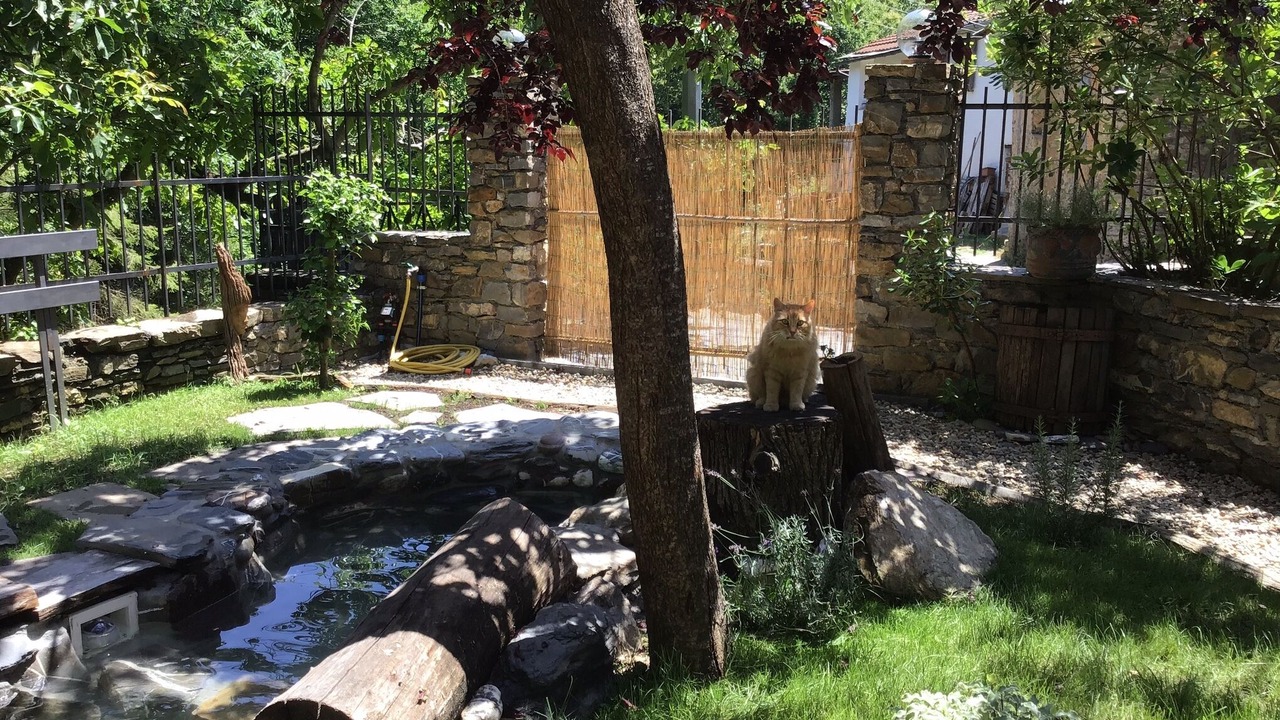 Photo of Outdoor in Moano