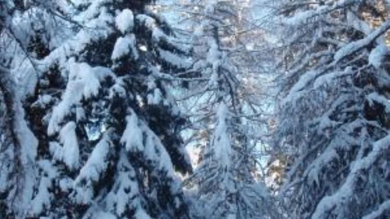 Photo of Outdoor in Madonna di Tirano