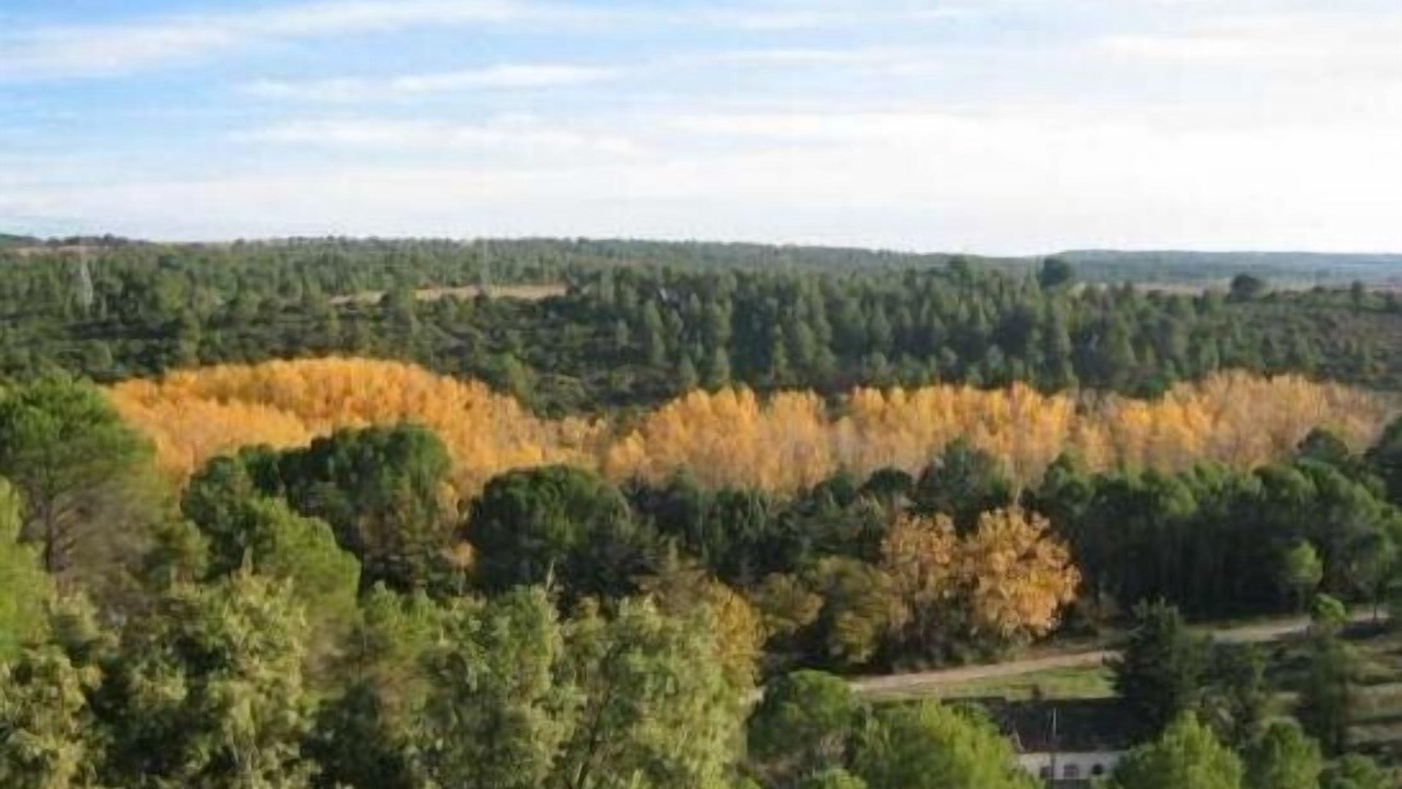 Photo of Outdoor in El Picazo