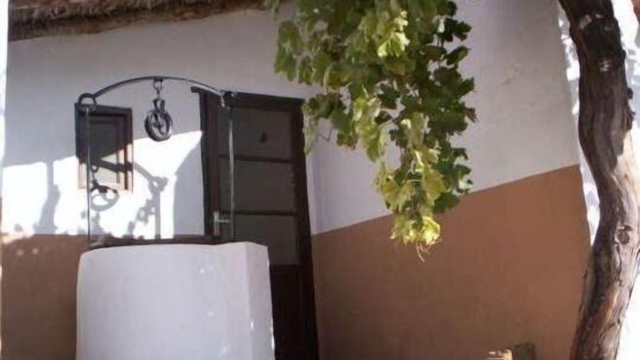 Photo of Others in El Picazo