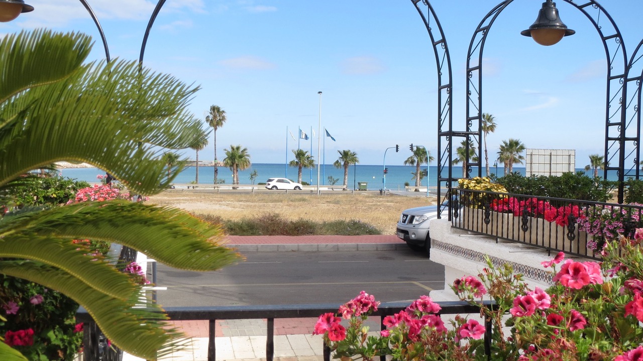 Photo of Outdoor in Torrevieja