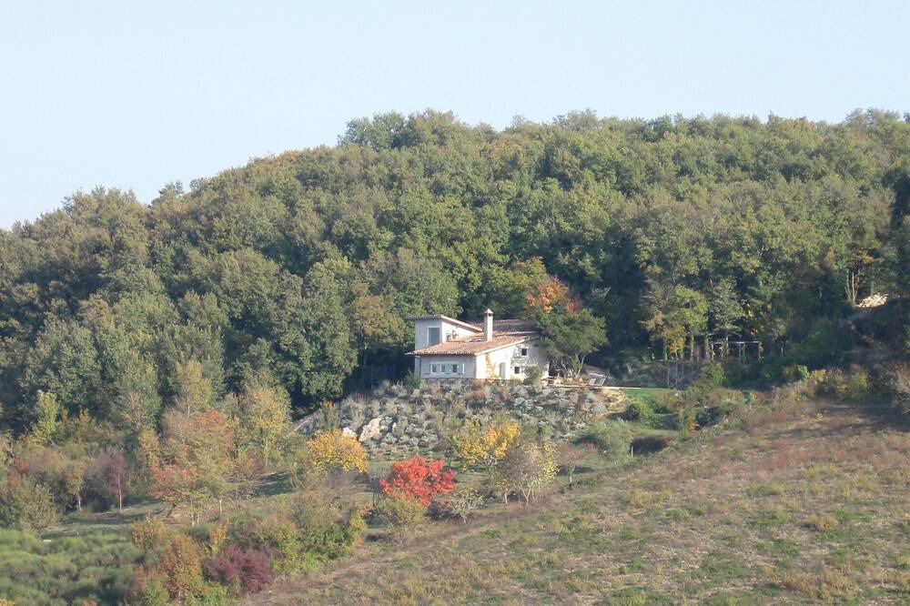 Photo of Others in Baschi