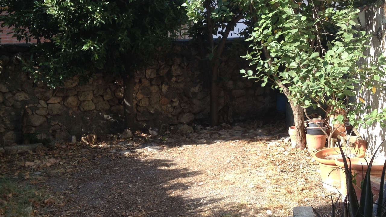 Photo of Outdoor in Loranca de Tajuna