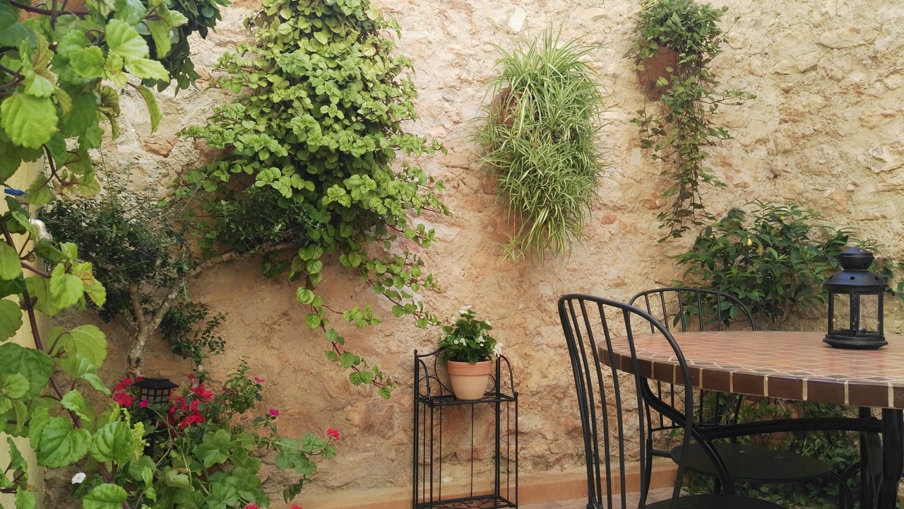 Photo of Outdoor in Roquetes