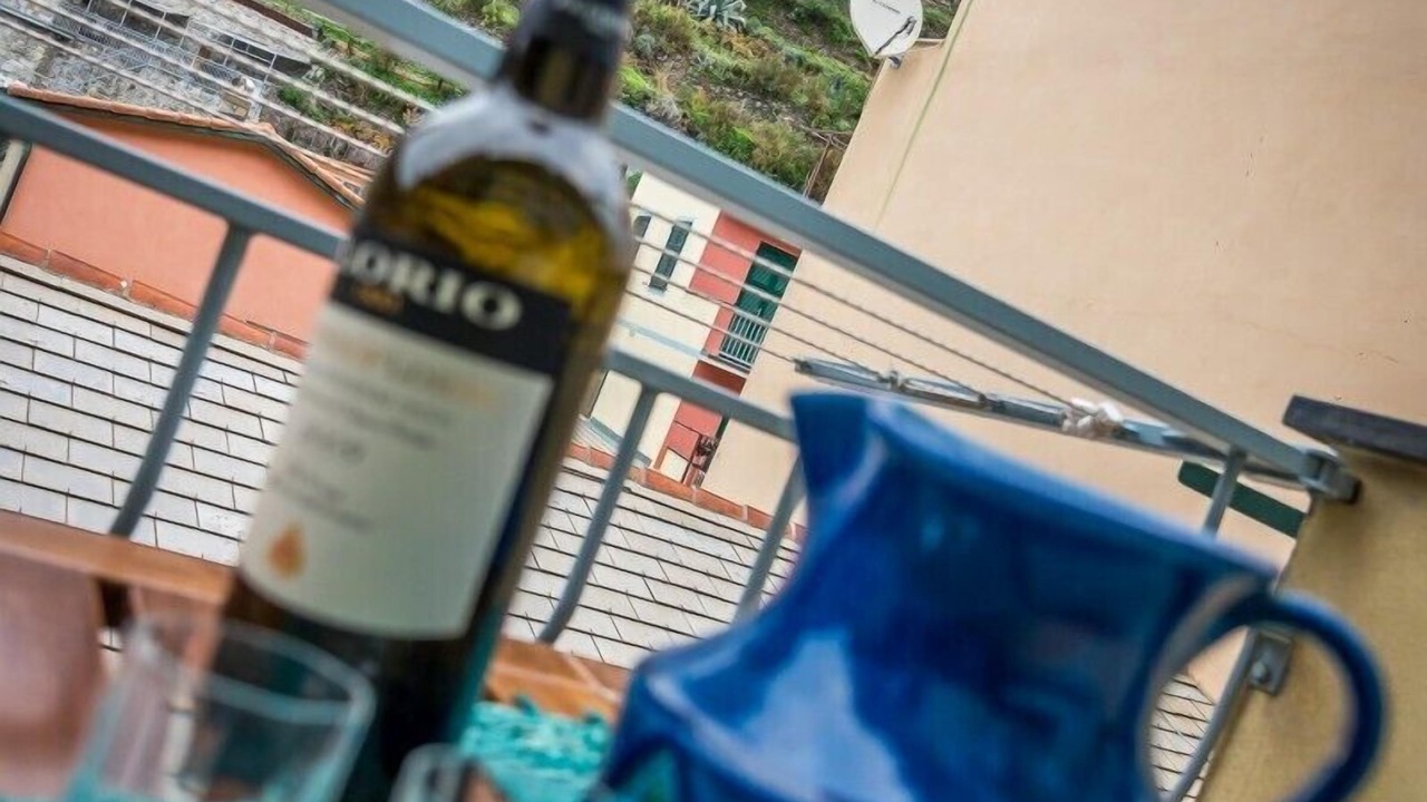 Photo of Others in Manarola