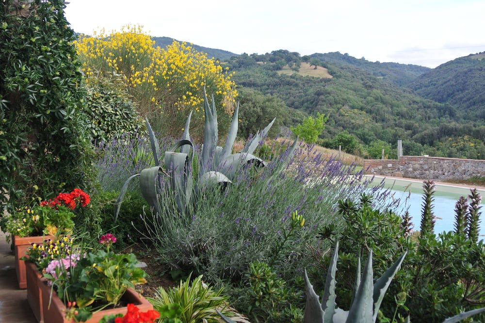 Photo of Outdoor in Scansano