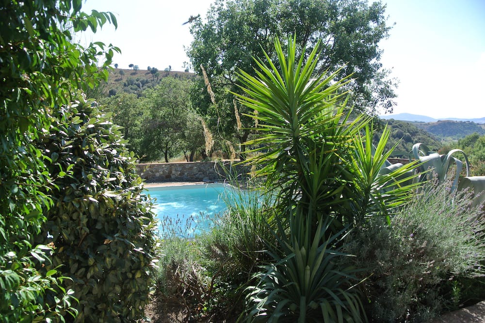 Photo of Outdoor in Scansano