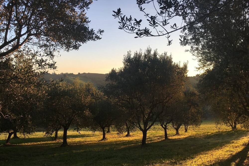 Photo of Outdoor in Montelparo