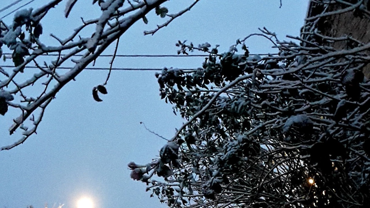 Photo of Outdoor in San Martino in Rio