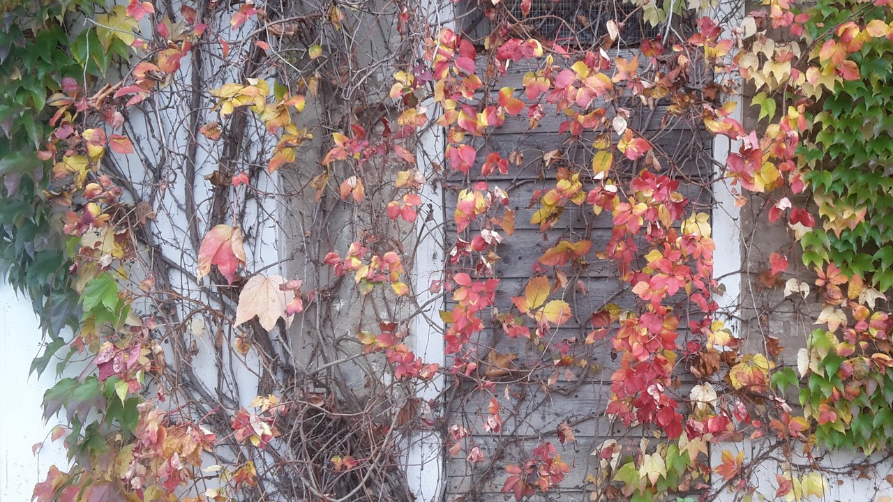 Photo of Outdoor in San Martino in Rio