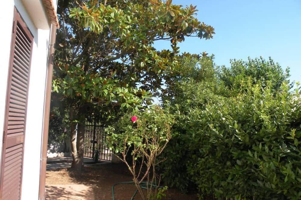 Photo of Outdoor in Cerenova