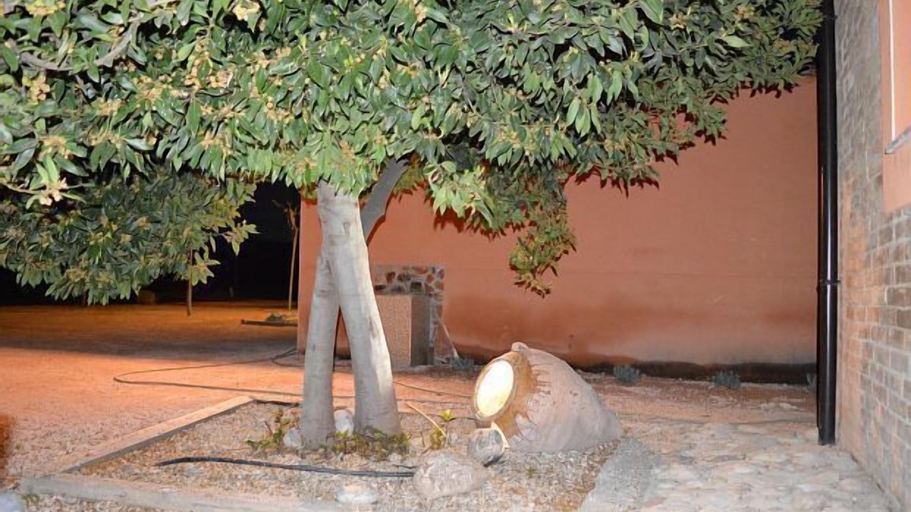 Photo of Patio Balcony in Ivars de Noguera