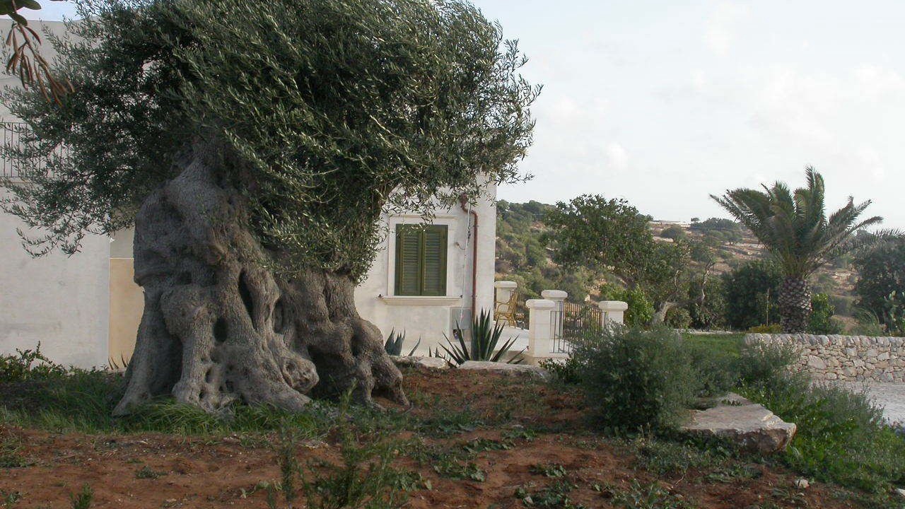 Photo of Outdoor in Ragusa