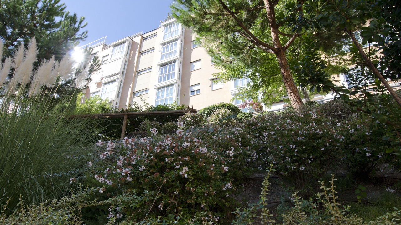 Photo of Outdoor in La Latina