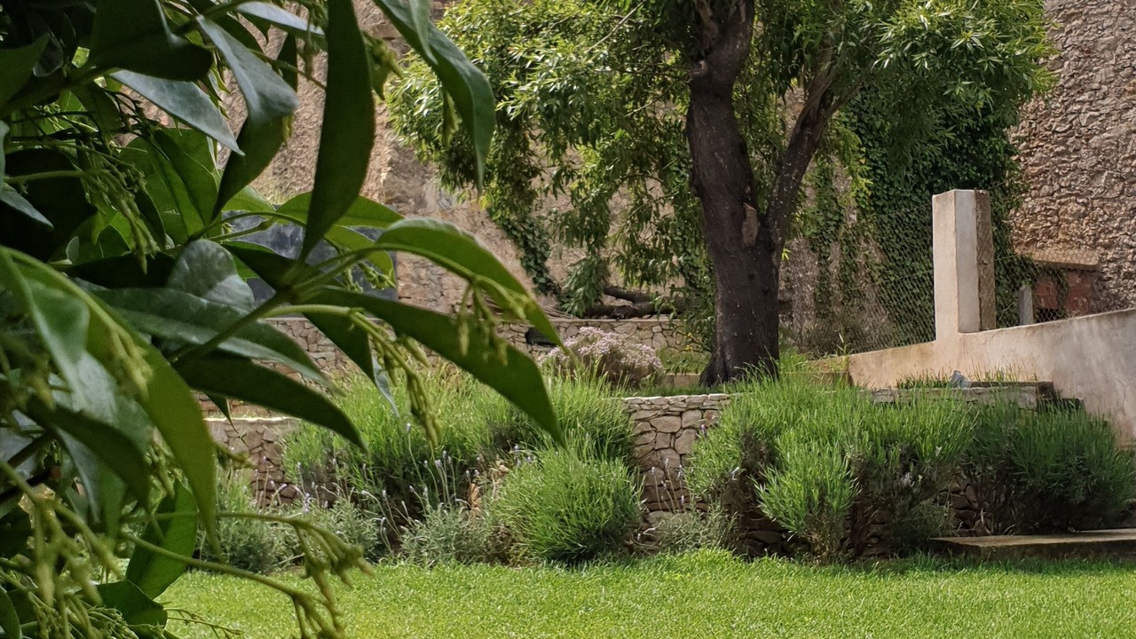 Photo of Outdoor in Pals