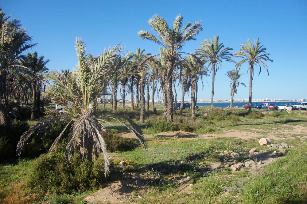 Photo of Others in Punta Prima