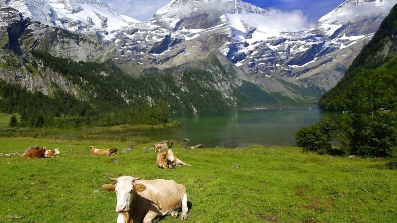 Photo of Outdoor in Setcases