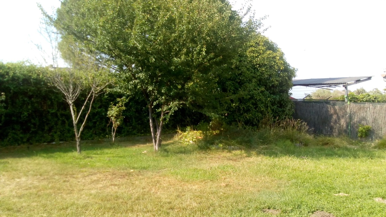 Photo of Outdoor in Escalona