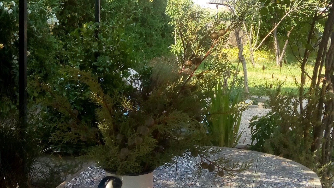 Photo of Outdoor in Escalona