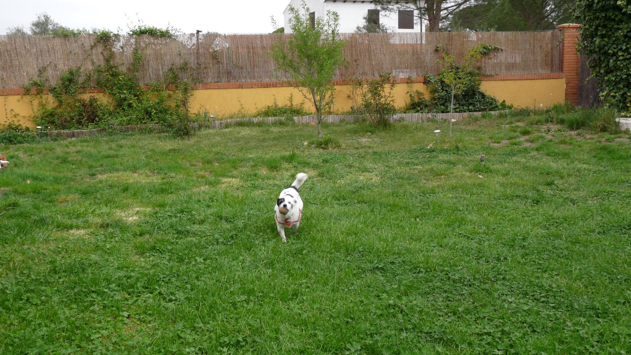 Photo of Outdoor in Escalona