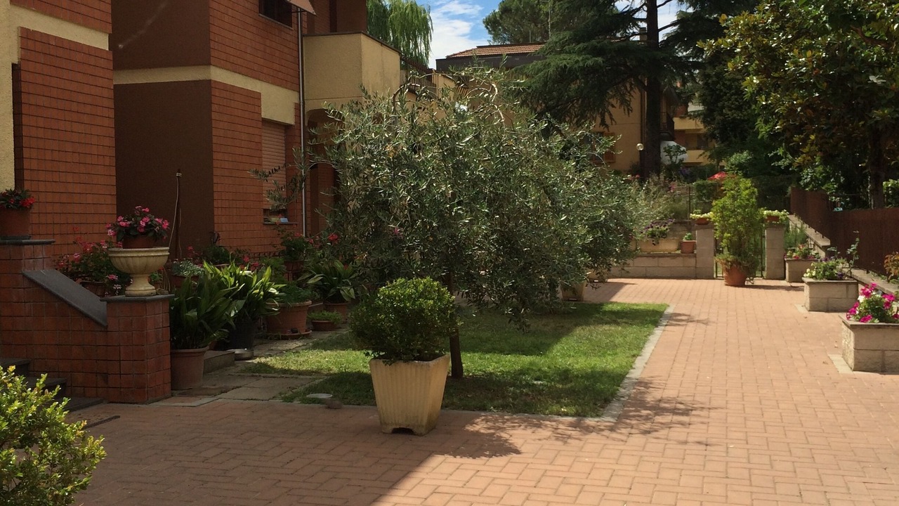 Photo of Patio Balcony in Ciconia