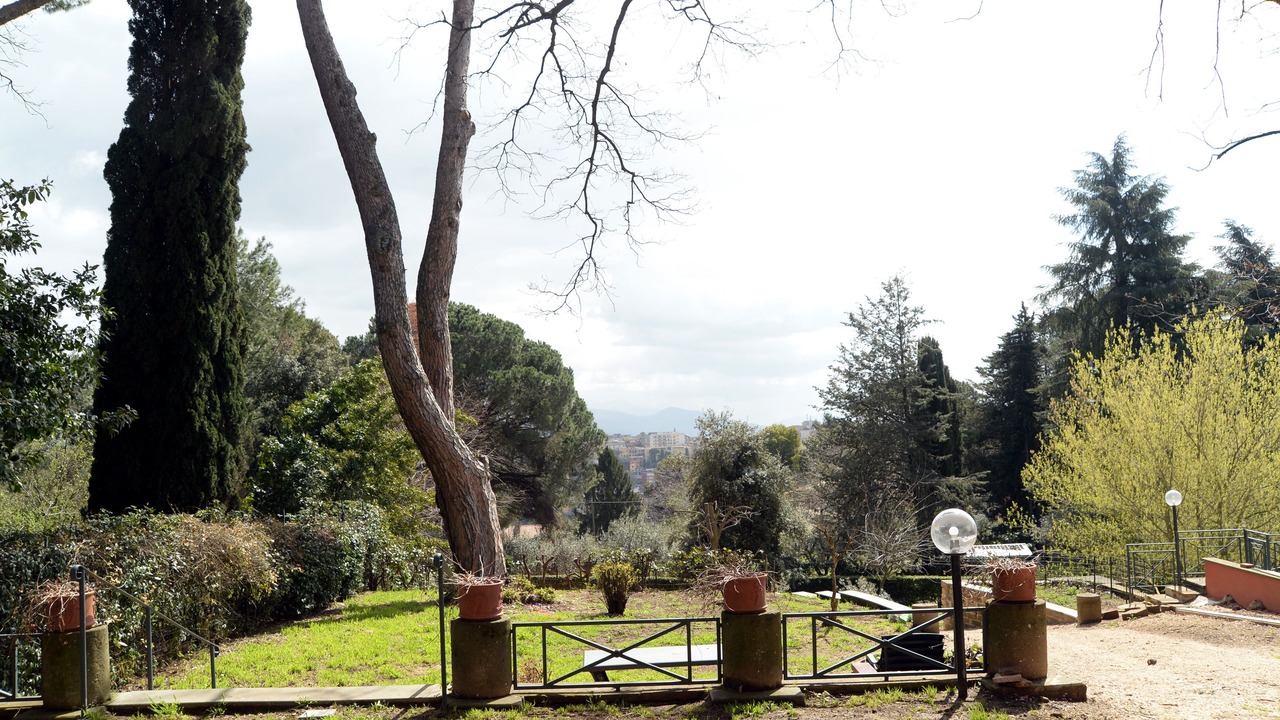 Photo of Outdoor in Velletri