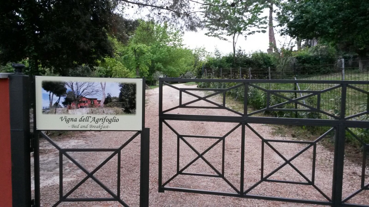 Photo of Outdoor in Velletri