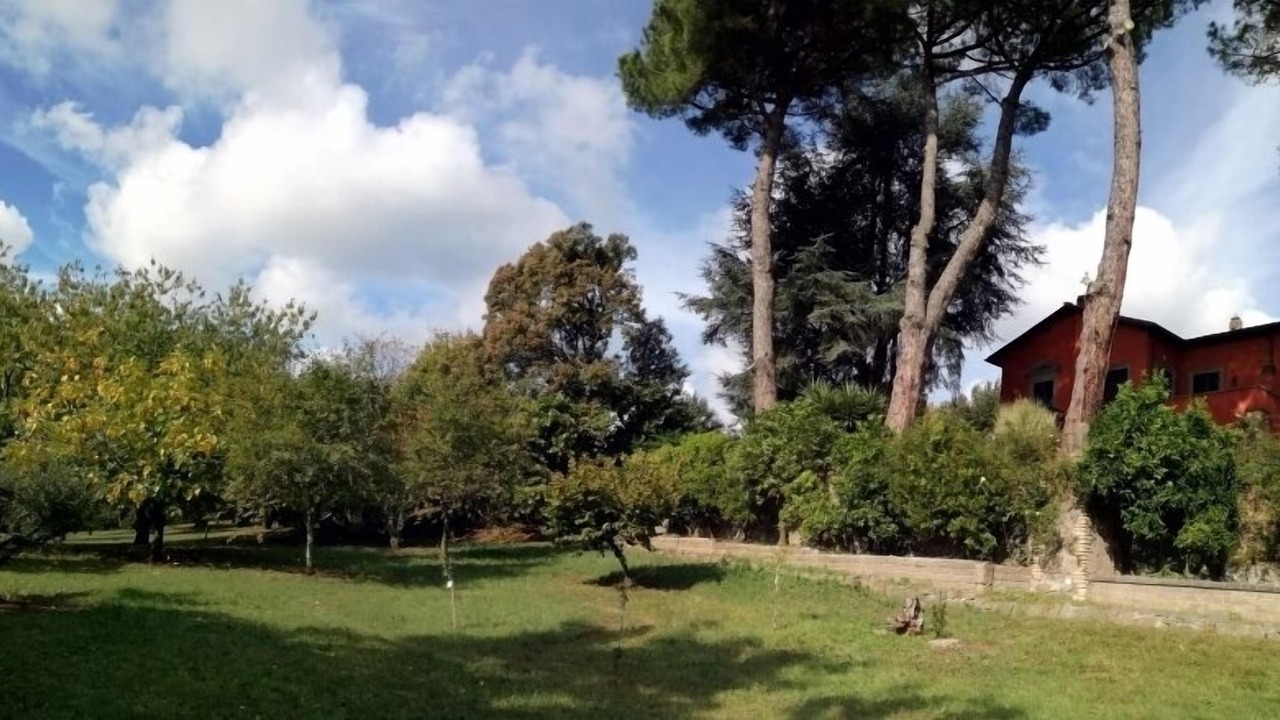 Photo of Outdoor in Velletri