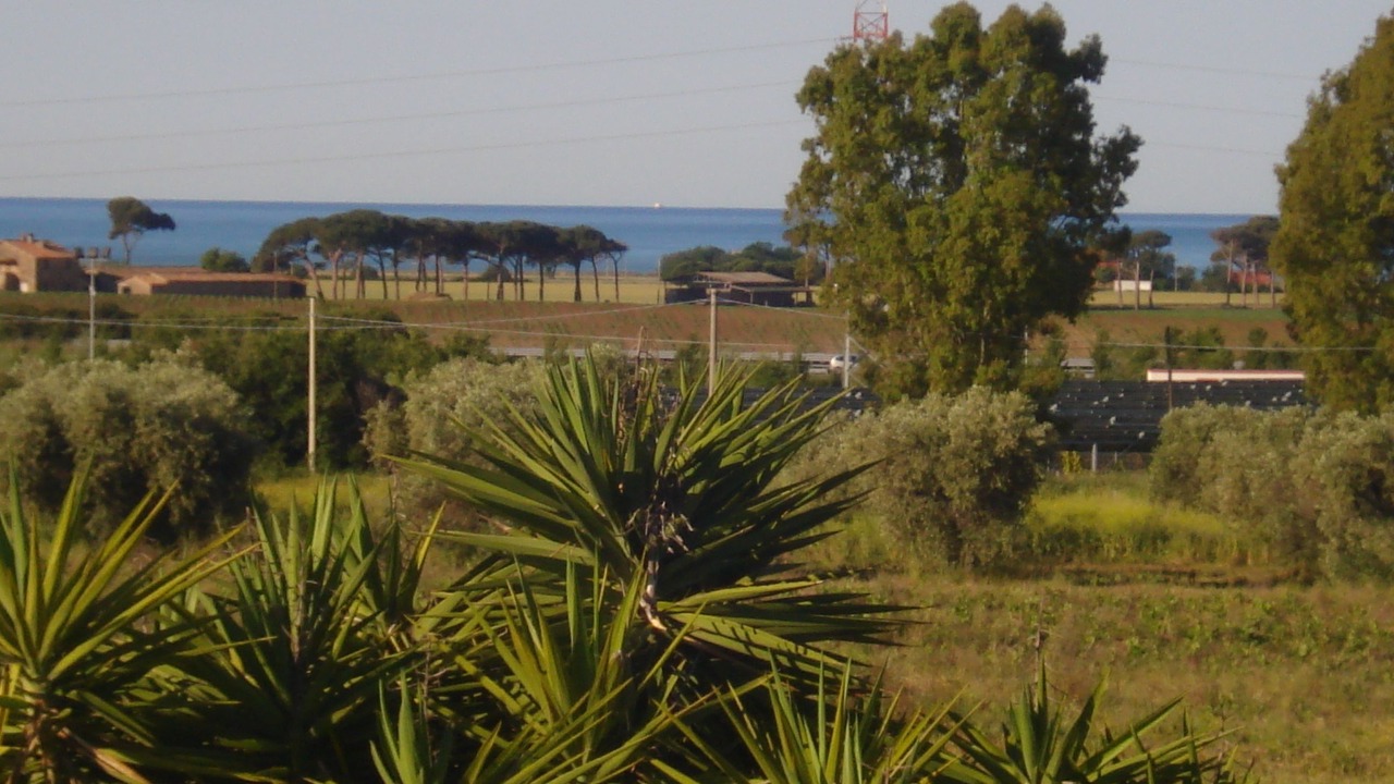 Photo of Outdoor in Cerveteri