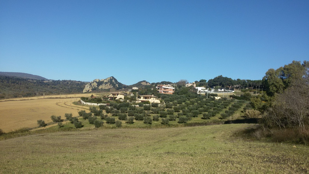 Photo of Others in Cerveteri